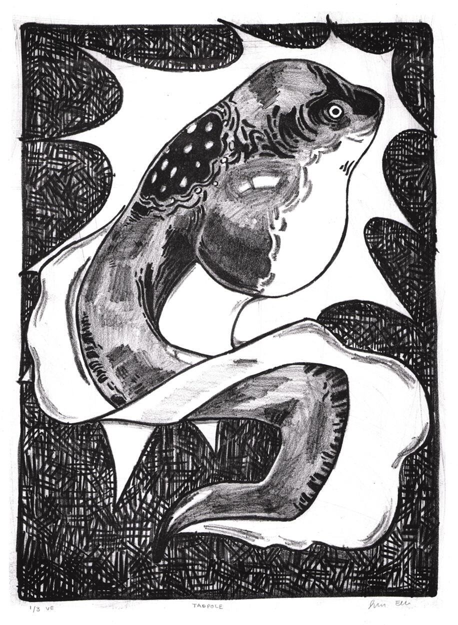 Tadpole Lithograph, 2024