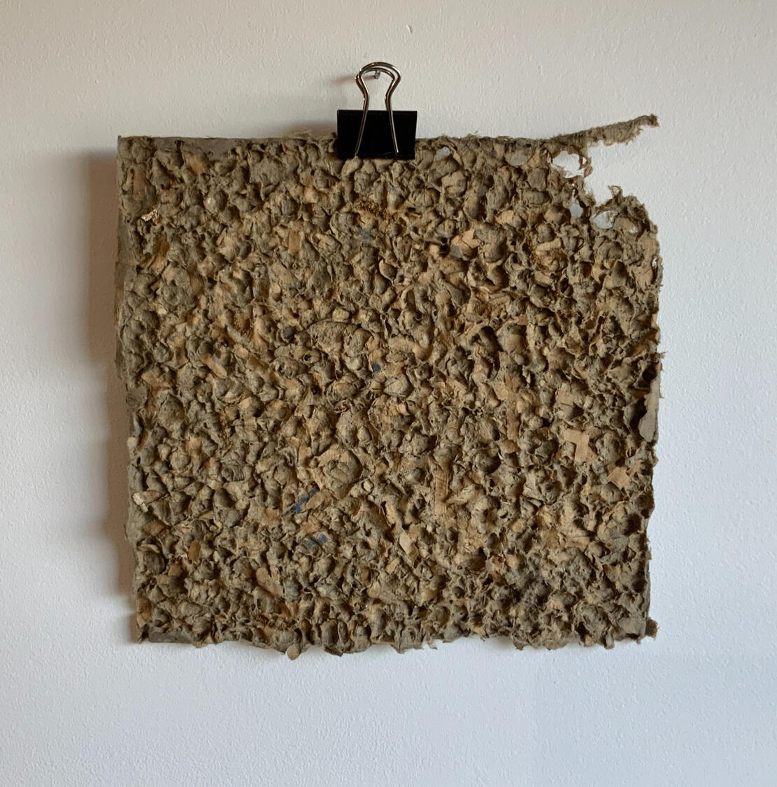 Impressions of Rain 2020